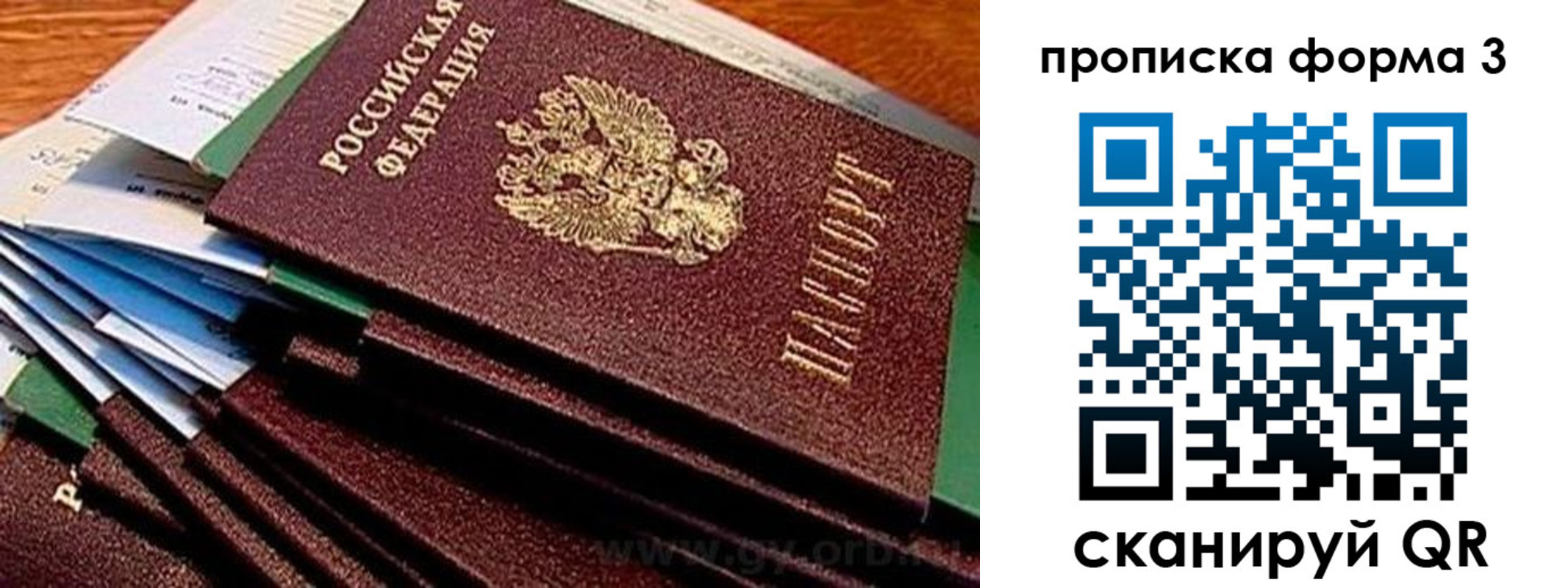 прописка иностранных граждан в Звенигороде